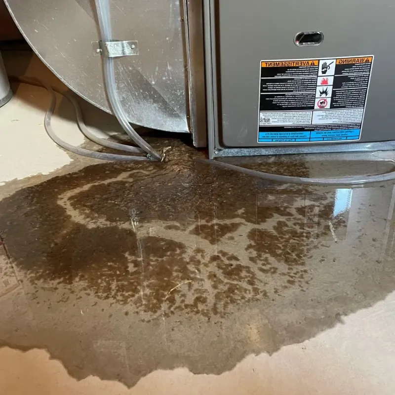 Pipe Burst and Leak Restoration in Smith Center, KS