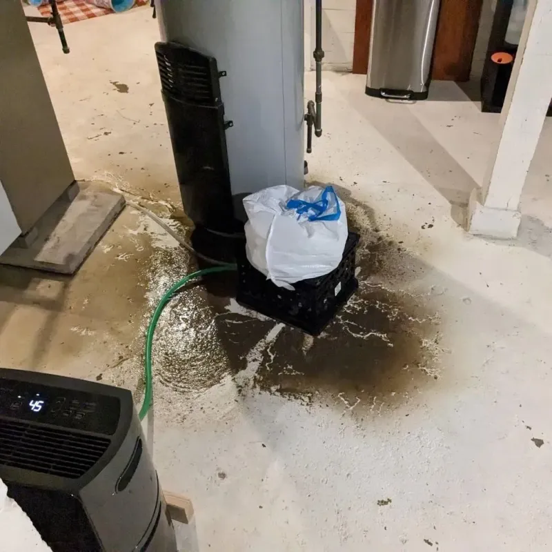 Sewage Backup Cleanup Service in Smith Center, KS